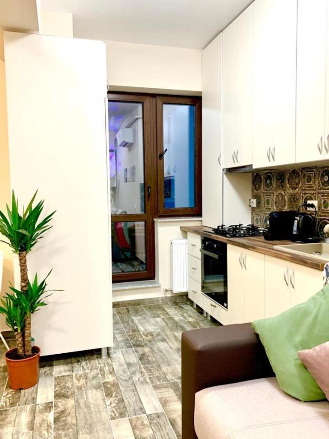 Designed Like Home Apartment Near Palas Mall 雅西 外观 照片