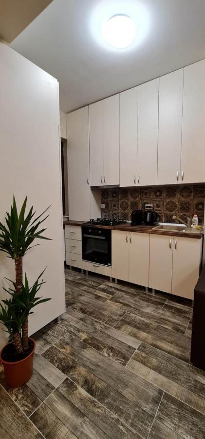 Designed Like Home Apartment Near Palas Mall 雅西 外观 照片